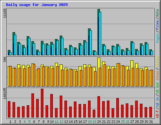 Daily usage for January 2025