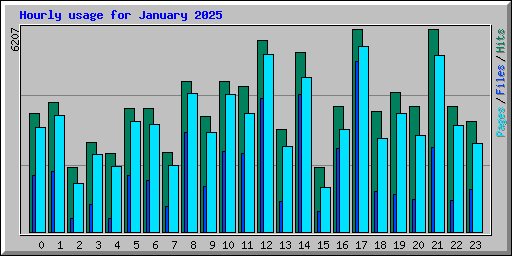 Hourly usage for January 2025