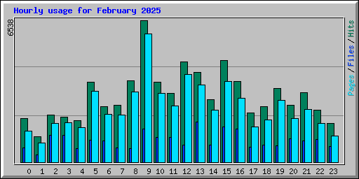 Hourly usage for February 2025