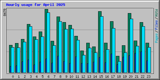 Hourly usage for April 2025