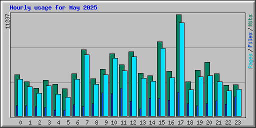 Hourly usage for May 2025