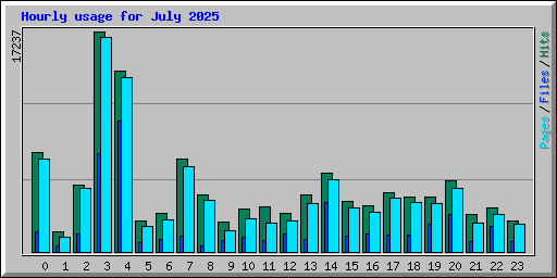 Hourly usage for July 2025