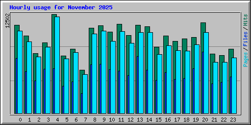 Hourly usage for November 2025