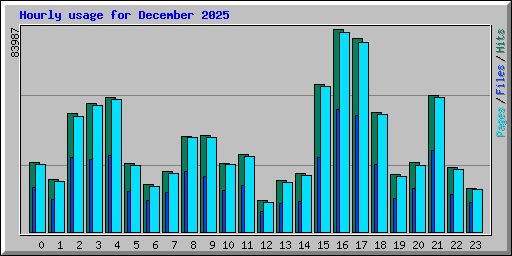 Hourly usage for December 2025