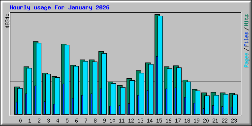 Hourly usage for January 2026