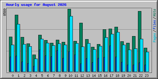 Hourly usage for August 2026